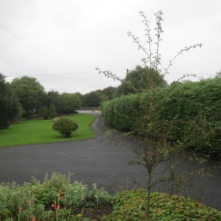 Abbey View Bed & Breakfast Galway Zewnętrze zdjęcie