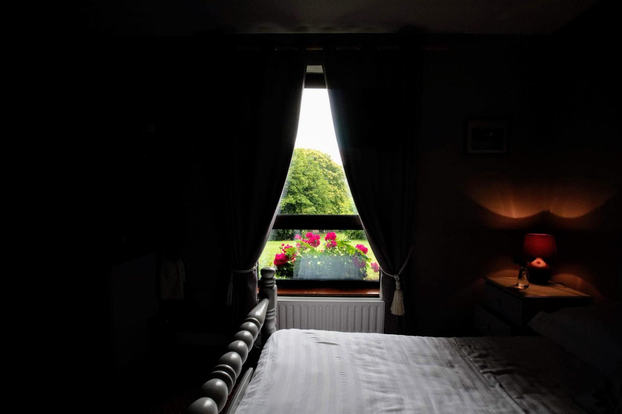 Abbey View Bed & Breakfast Galway Zewnętrze zdjęcie