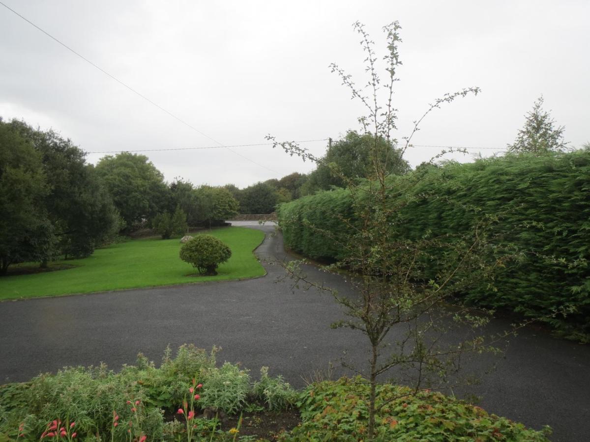 Abbey View Bed & Breakfast Galway Zewnętrze zdjęcie