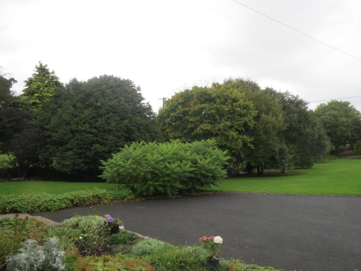 Abbey View Bed & Breakfast Galway Zewnętrze zdjęcie